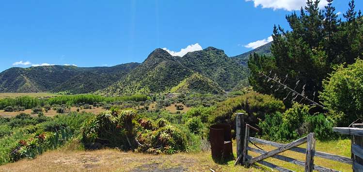 17 Tilson Avenue Cape Palliser_14