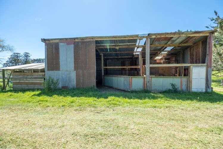 191A Fryer Road Kaitaia_26