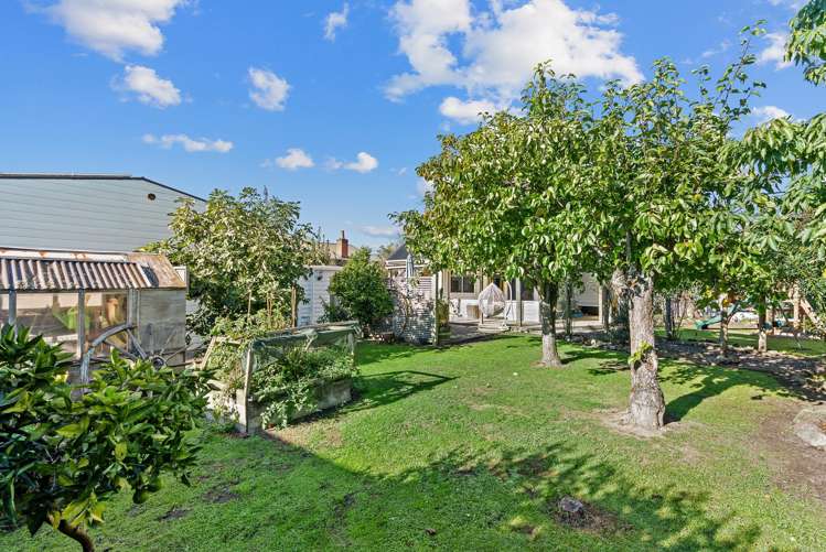 60 Cole Street Masterton_7