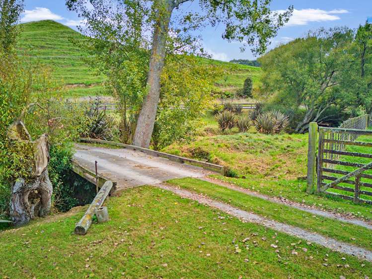 733A Bryce Road Ngakuru_32