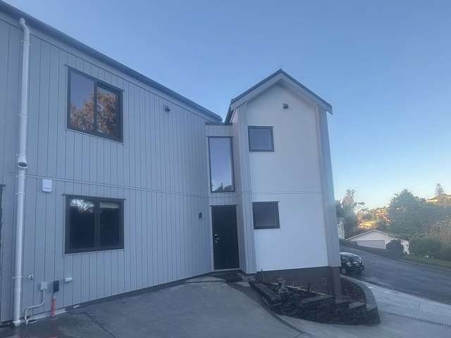 110 Canongate Street Birkdale_4