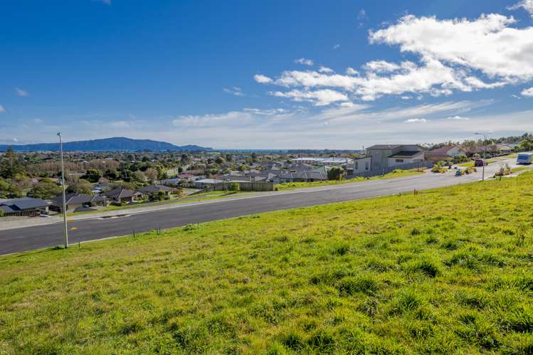 103 Kakariki Grove Waikanae_3
