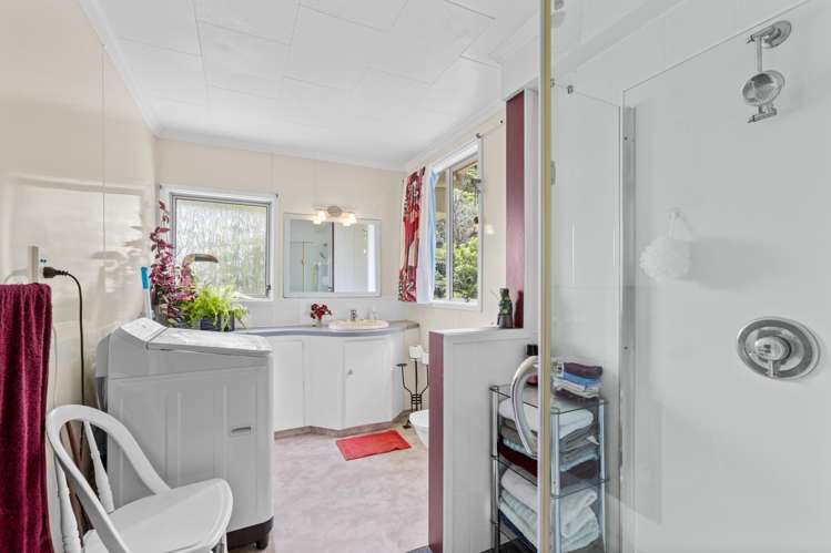 280 Nikau Road, State Highway 67 Nikau_20