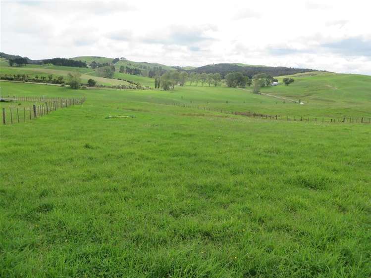 Ovens Road Matakohe_15