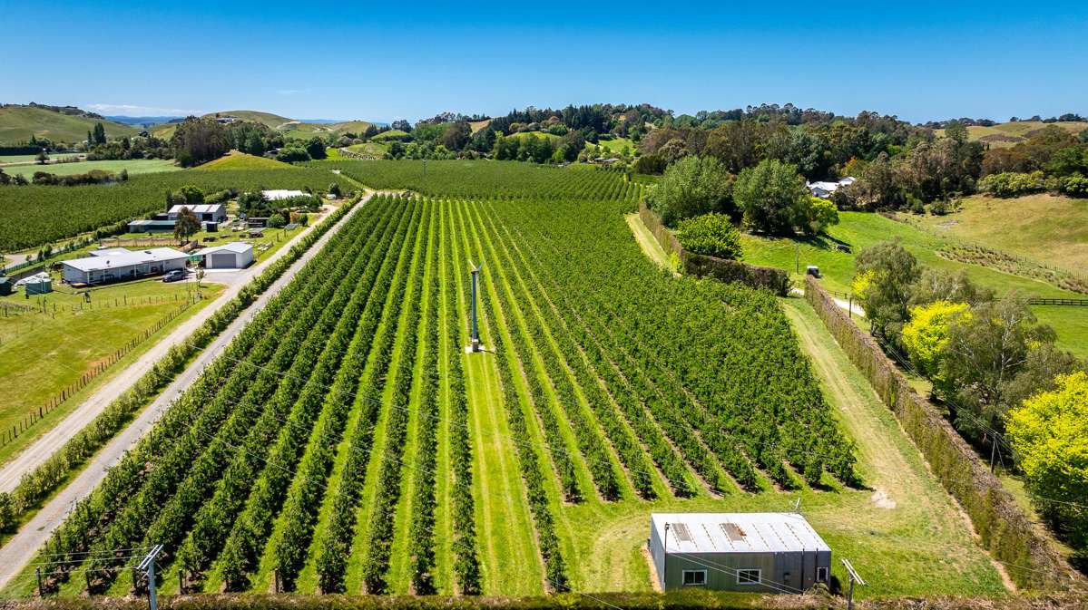 490 Puketitiri Road, Puketapu_2