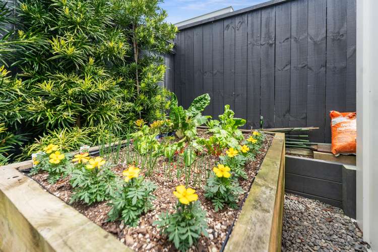 114 Coast Boulevard Papamoa_33