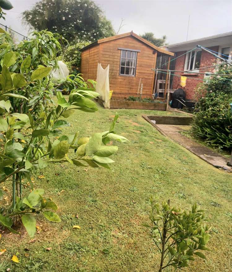 10 Fairview Terrace Paeroa_13