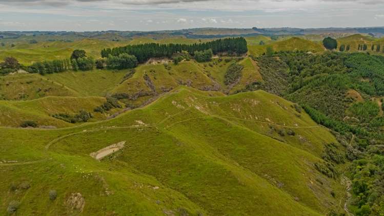 240 Agnews Road Hunterville_12