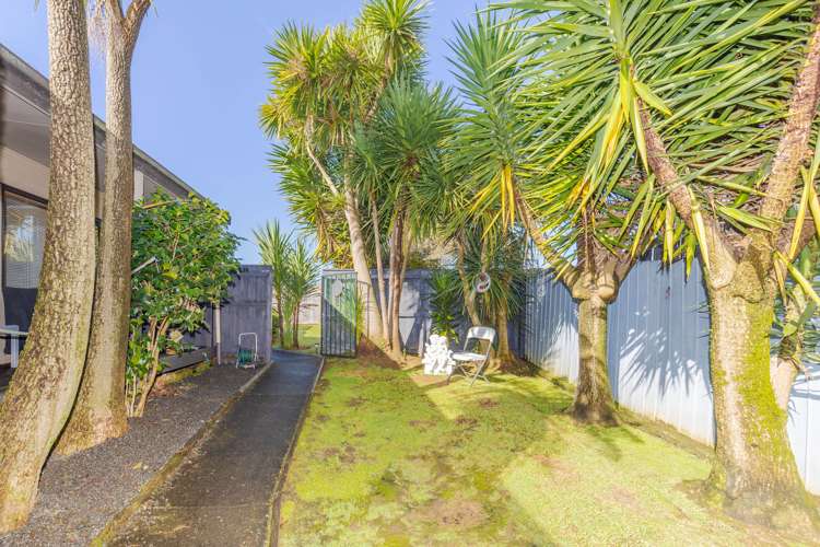 16 Bartholomew Drive Nawton_18