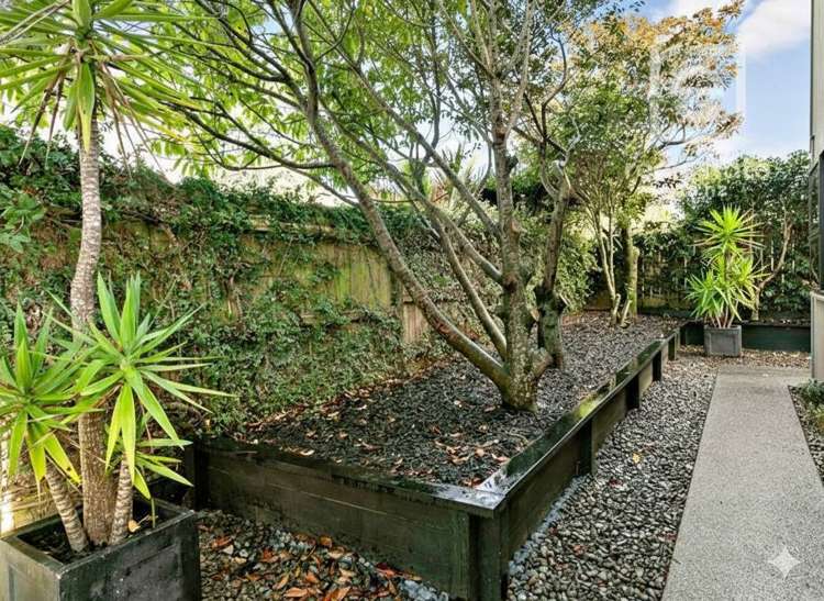 28F Fernleigh Avenue Royal Oak_13