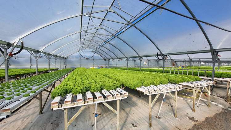 116 Wingatui Road Mosgiel_8