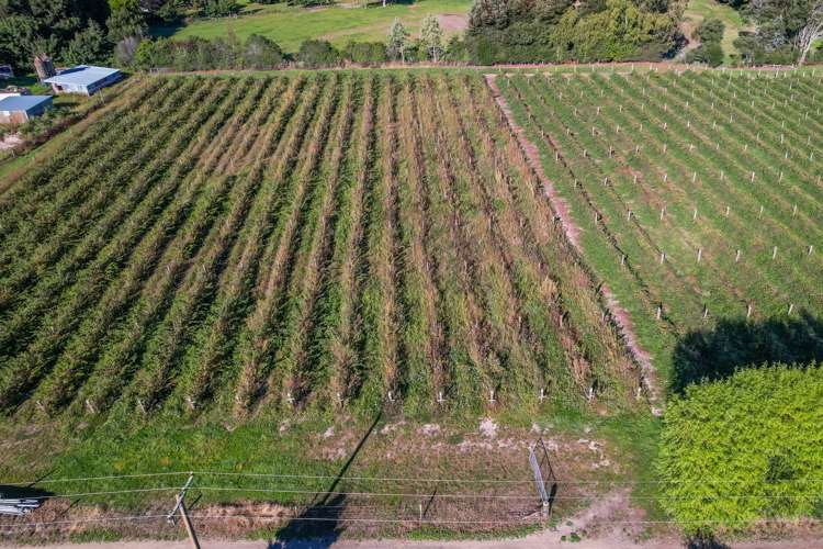 292 Wakefield-Kohatu Highway Wakefield_13