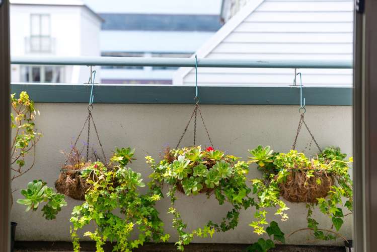 6/10 Ruru Street Eden Terrace_10