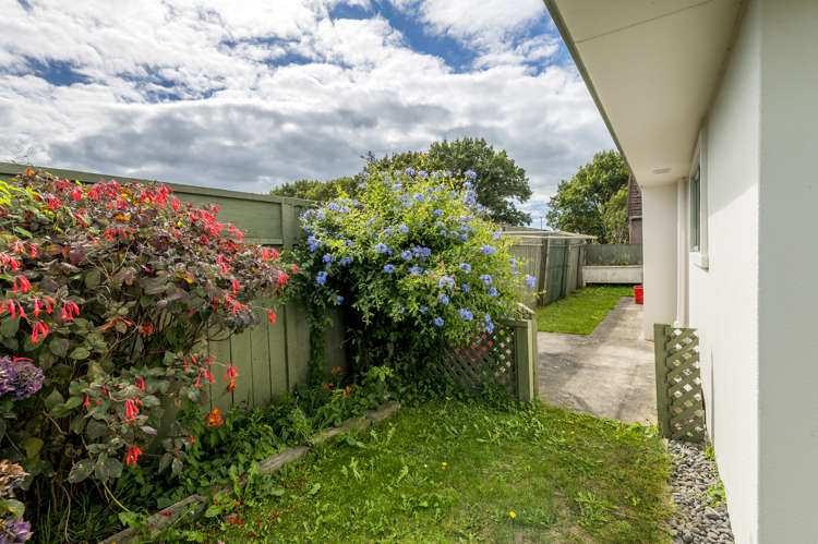 5 Rosedale Place Levin_6