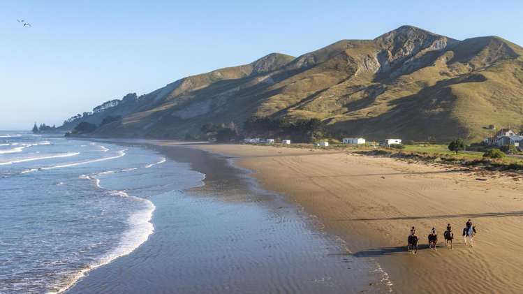 202 Pourerere Beach Road Central Hawkes Bay Coastal_5