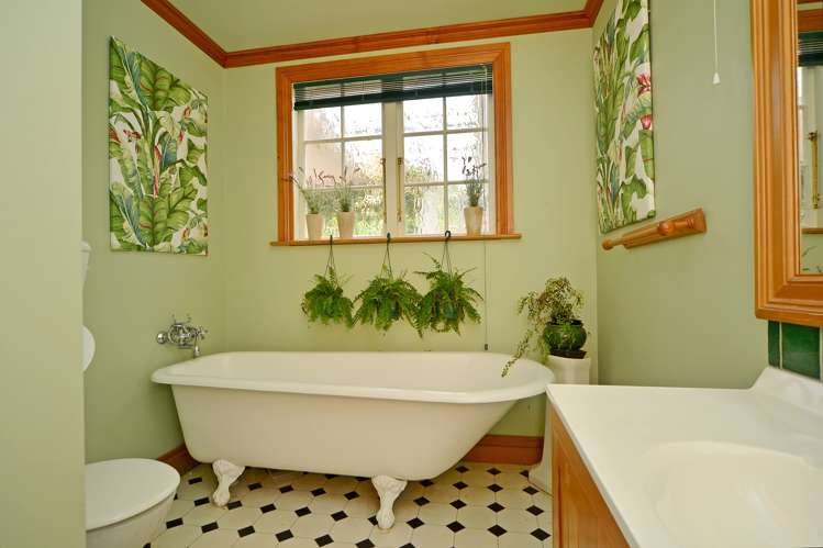 393 Chester Road Carterton_12