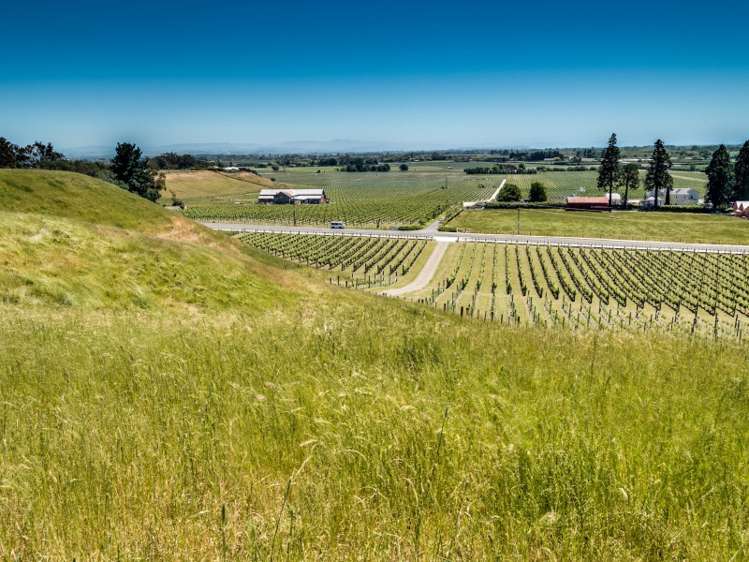 338 Te Mata Road Havelock North_7