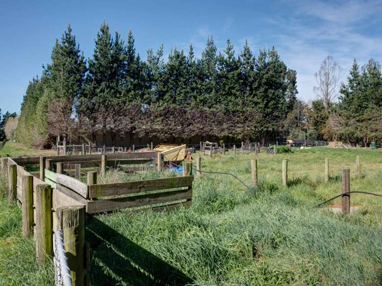 175 Walkers Road Rolleston_17