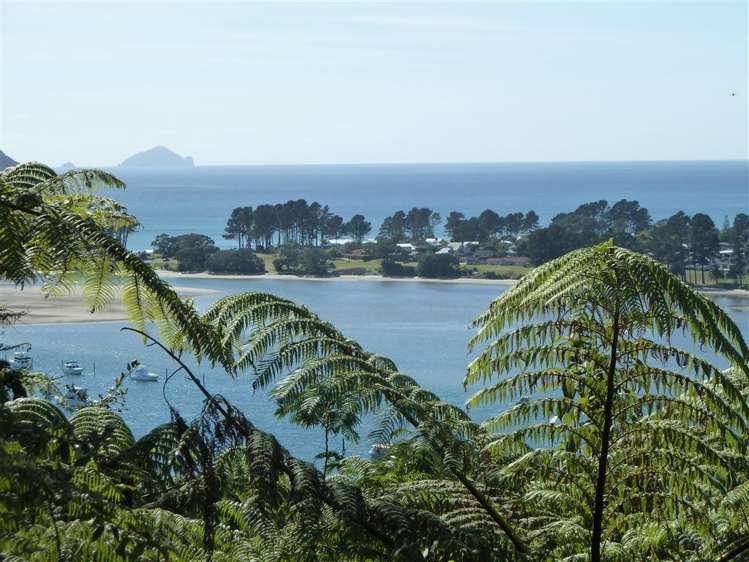 40 Tairua Heights Tairua_10