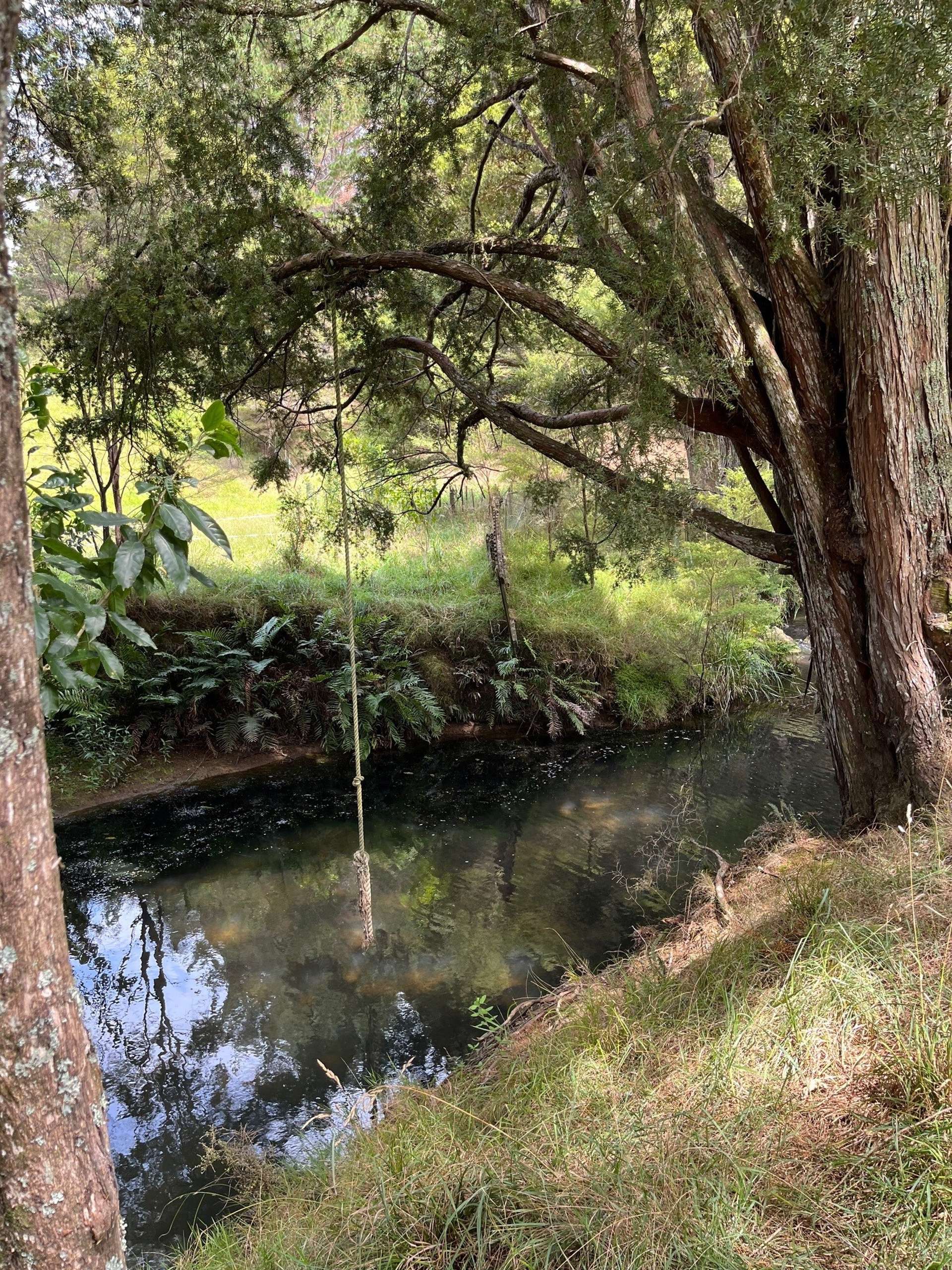 153 Ross Road Parua Bay Whangārei Rural Property For Sale One Roof