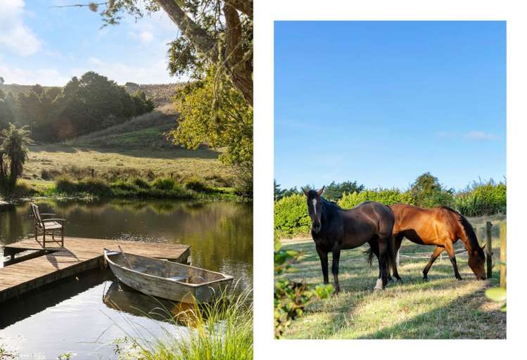 333 Bald Hill Road Waiuku_38