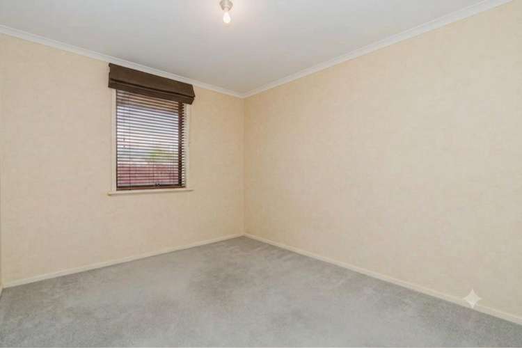296 Thomas Road Rototuna North_7