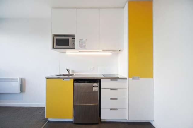 209/5 Dundonald Street 10021_3