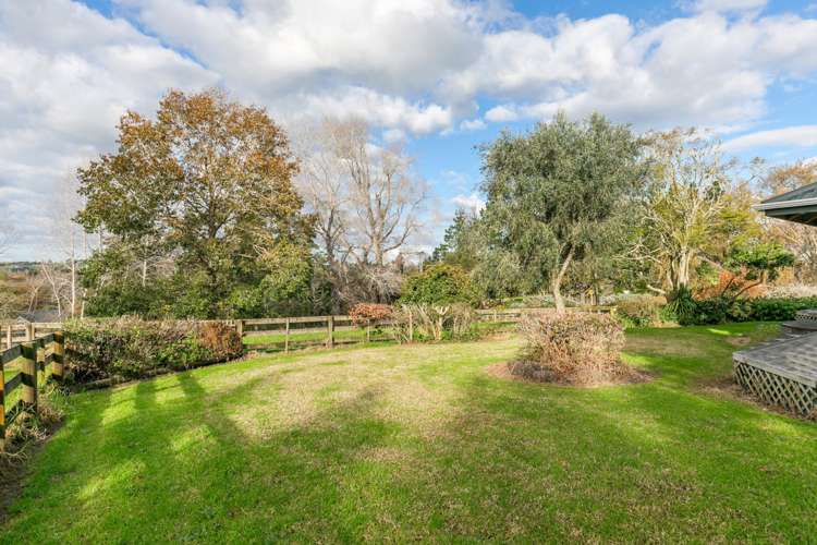 99 Postman Road Dairy Flat_11