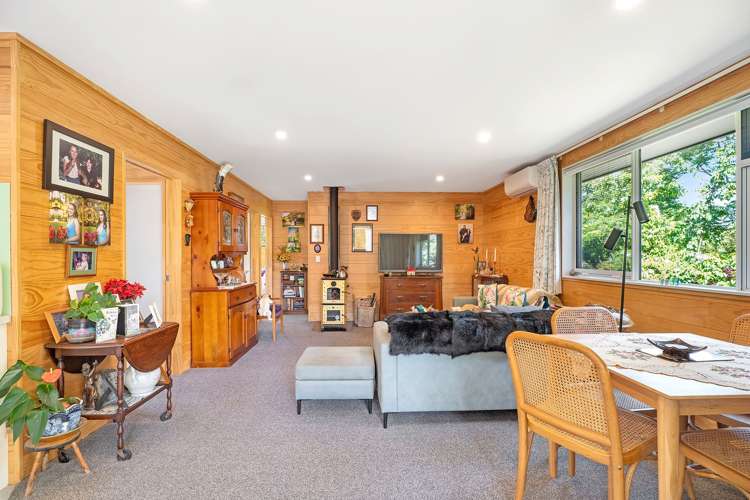 2926 SH25 Tairua Whitianga HWY Whitianga_24