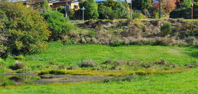 70 Noble Street Nukuhau_3