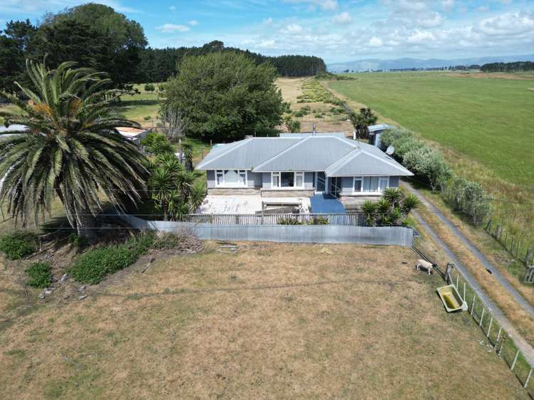 360 State Highway 1 Foxton_4
