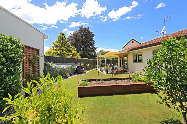 35 Waterhouse Street Taradale_1