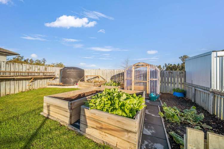 58c Essex Street Weston_30