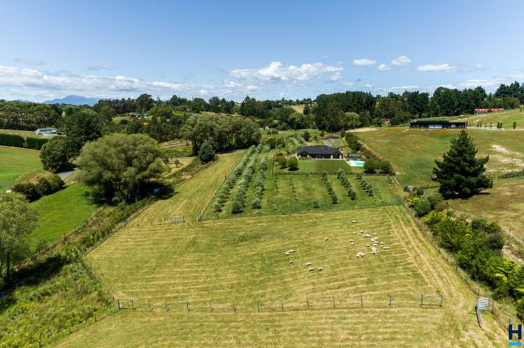 106 Awa Awa Road Tasman_21