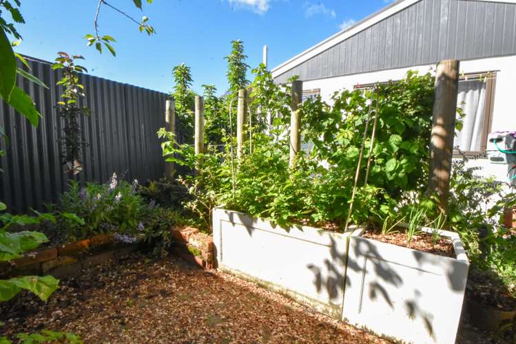 6 Chisholm Place Carterton_16