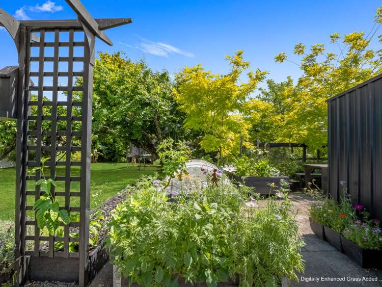 36 Peace Street Whakatane_31