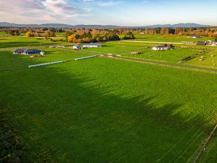 64b Thomas Road Carterton_3