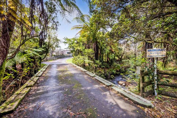 88b Rewa Street Inglewood_33