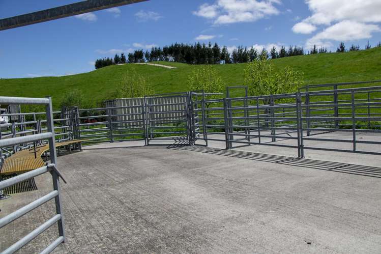 Korako Road Taupo_25