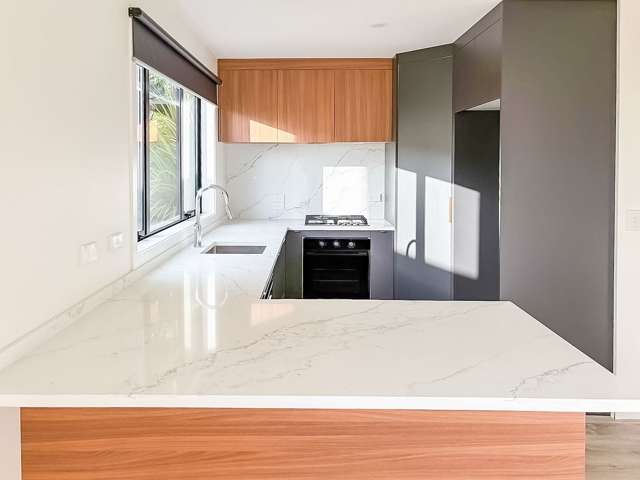 54C Rodrigo Road Kilbirnie_1