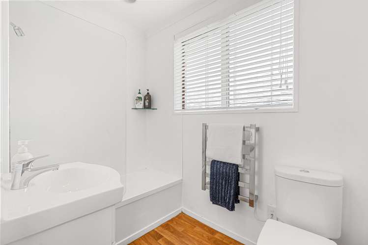 6B Hereford Street Roslyn_15