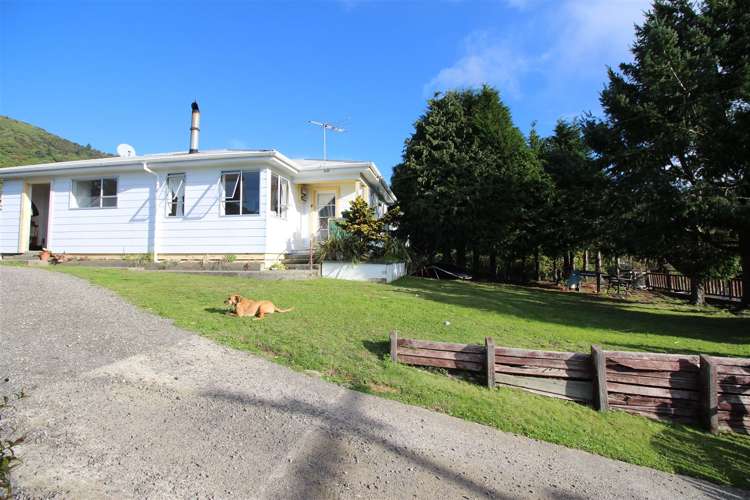 63 Hampden Street Picton_18