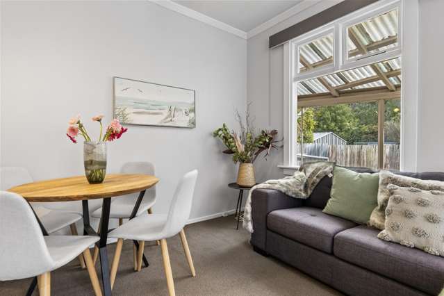 51 Somerville Street Andersons Bay_4