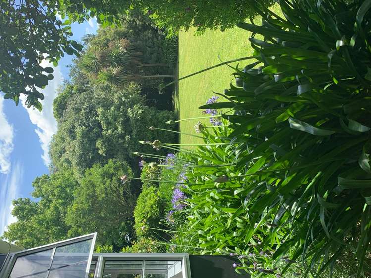 30 Parrs Road Bunnythorpe_21