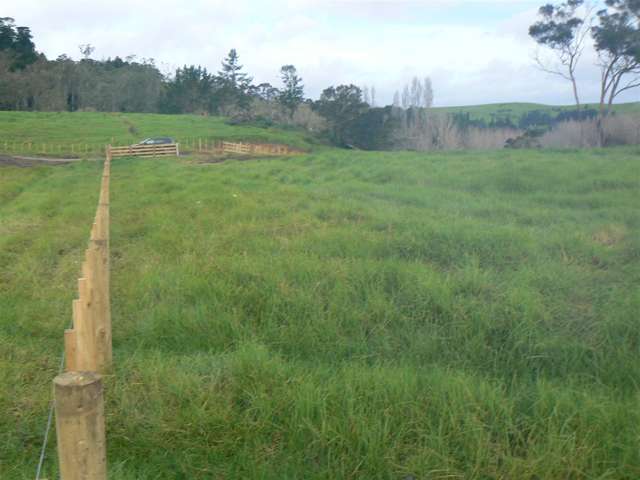 Yellow Blk/00 Doel Road Kawakawa_1