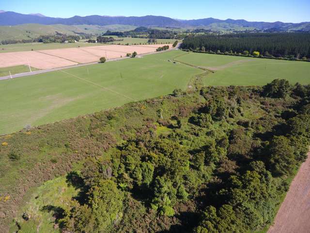 1562 State Highway 2 Kiriwhakapapa_2