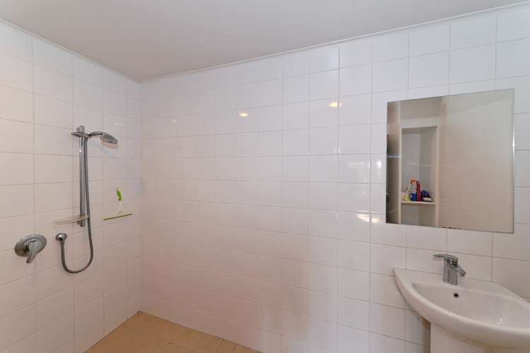 8a Allan Street Nelson South_15