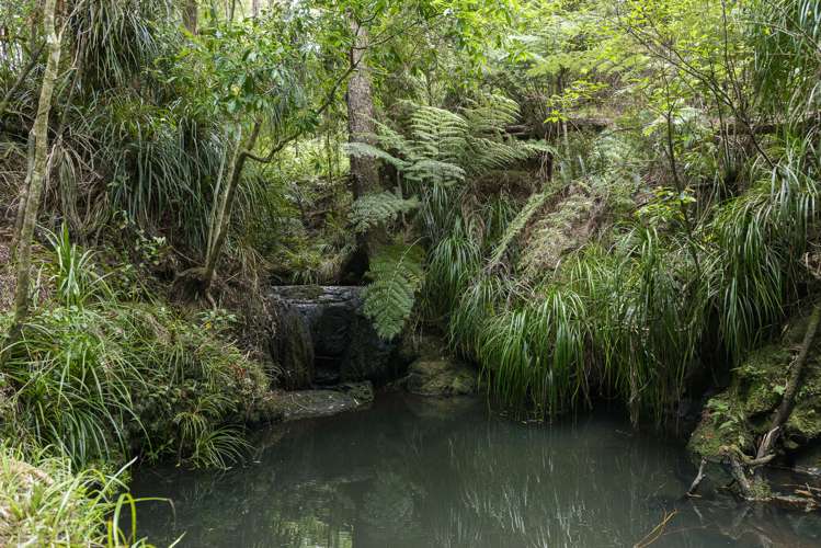 27 Lett Road Snells Beach_32