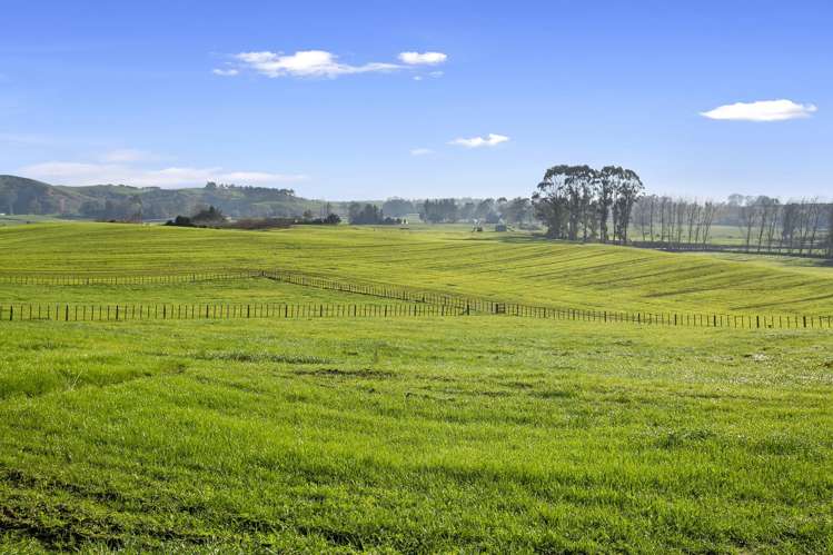 163 Starkey Road Morrinsville_8