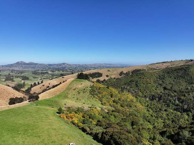 54 Salisbury Road North Taieri_3